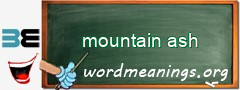 WordMeaning blackboard for mountain ash